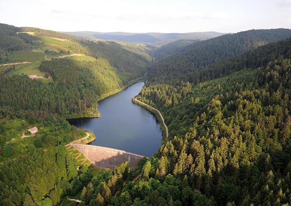 Апартаменты Le Repos Du Pilat Proche A 10 Min Saint Etienne Экстерьер фото